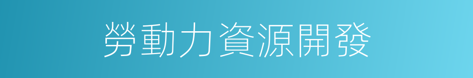 勞動力資源開發的同義詞