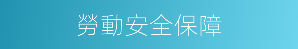 勞動安全保障的同義詞