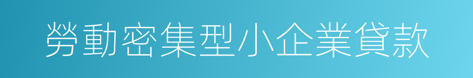 勞動密集型小企業貸款的同義詞