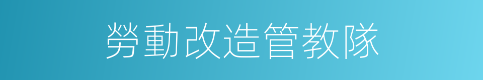 勞動改造管教隊的同義詞