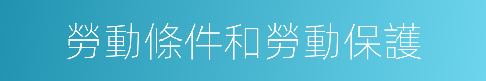 勞動條件和勞動保護的同義詞