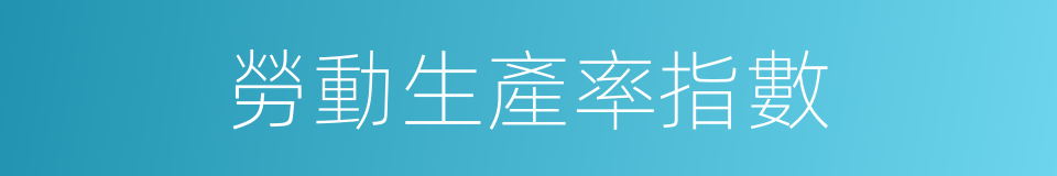 勞動生產率指數的同義詞