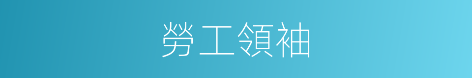 勞工領袖的同義詞