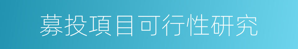 募投項目可行性研究的意思