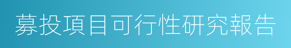 募投項目可行性研究報告的同義詞