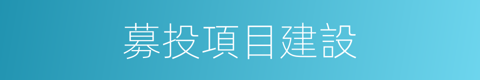 募投項目建設的同義詞