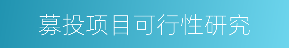 募投项目可行性研究的意思