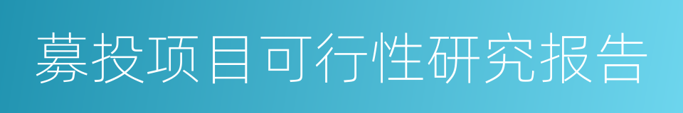 募投项目可行性研究报告的同义词