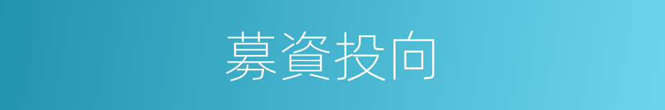 募資投向的同義詞