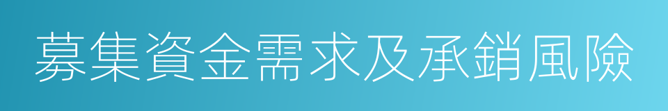 募集資金需求及承銷風險的同義詞