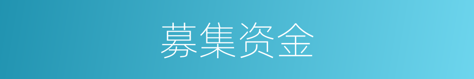 募集资金的意思