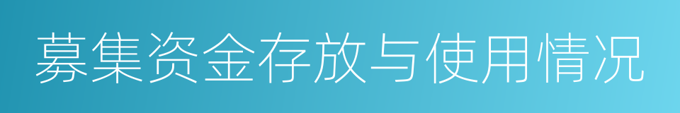 募集资金存放与使用情况的同义词