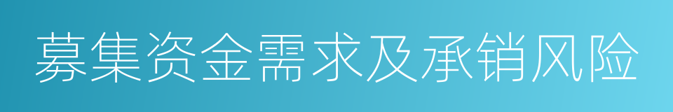 募集资金需求及承销风险的同义词