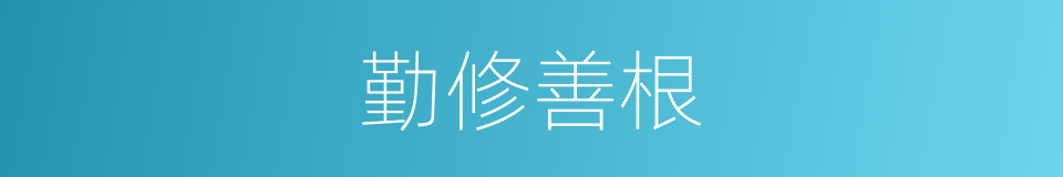 勤修善根的同义词