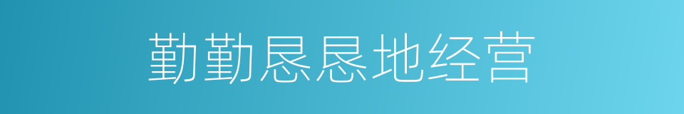 勤勤恳恳地经营的同义词