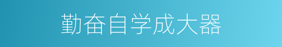 勤奋自学成大器的同义词