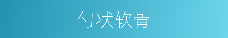 勺状软骨的意思
