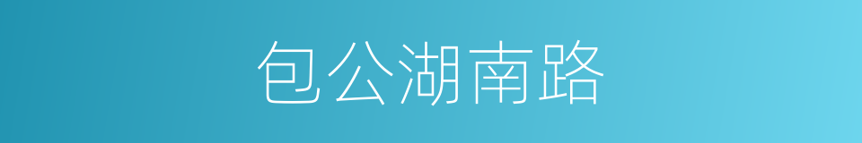 包公湖南路的同义词