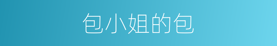 包小姐的包的同义词