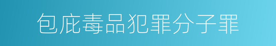 包庇毒品犯罪分子罪的同义词