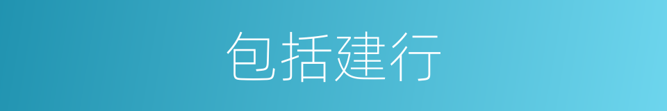 包括建行的同义词