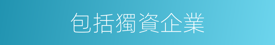 包括獨資企業的同義詞