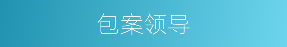 包案领导的同义词
