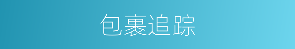 包裹追踪的同义词