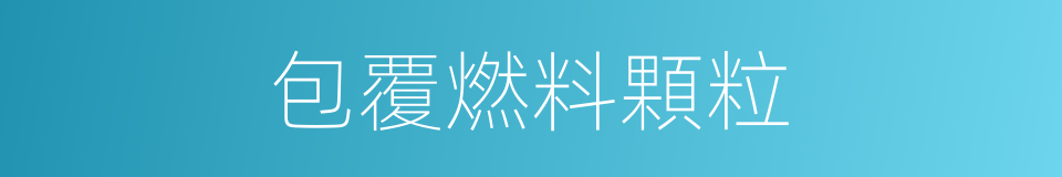 包覆燃料顆粒的同義詞