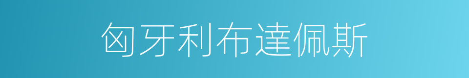 匈牙利布達佩斯的同義詞
