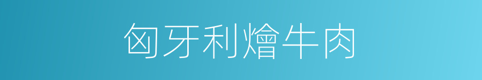 匈牙利燴牛肉的同義詞