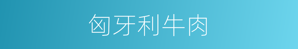 匈牙利牛肉的同义词