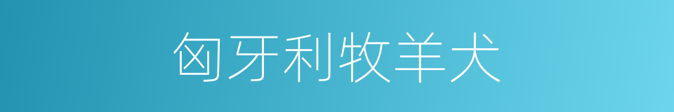 匈牙利牧羊犬的同义词
