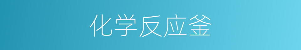 化学反应釜的同义词