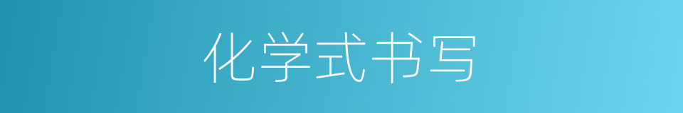 化学式书写的意思