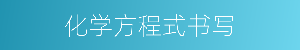 化学方程式书写的意思