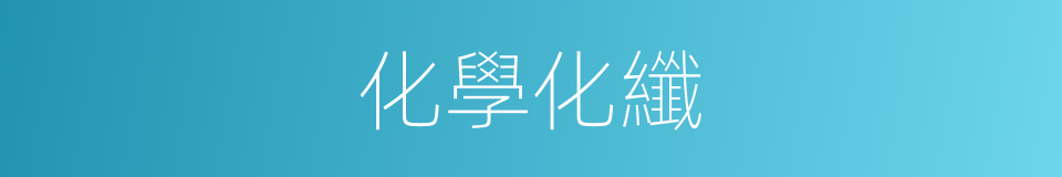化學化纖的同義詞