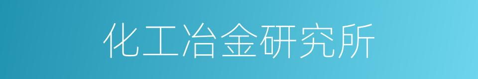 化工冶金研究所的同义词