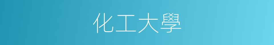 化工大學的同義詞