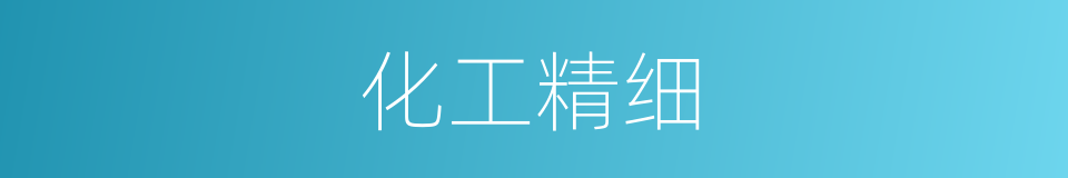 化工精细的同义词