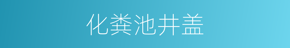 化粪池井盖的同义词