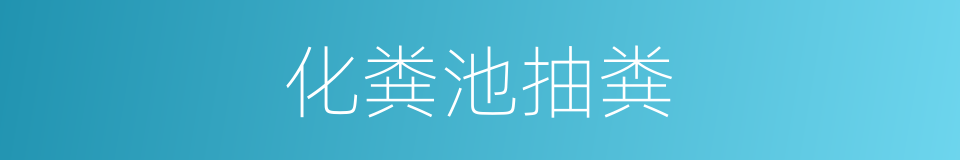 化粪池抽粪的同义词