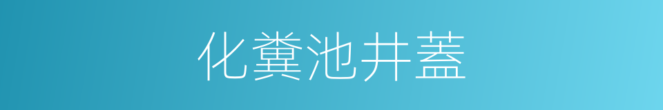 化糞池井蓋的同義詞