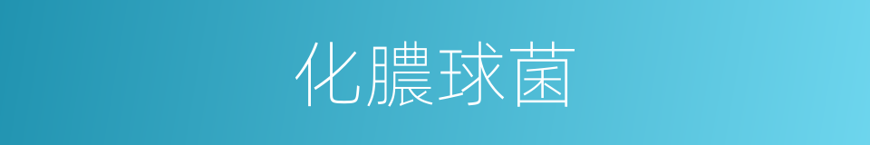 化膿球菌的同義詞