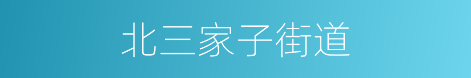 北三家子街道的同义词