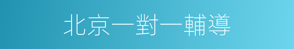 北京一對一輔導的同義詞