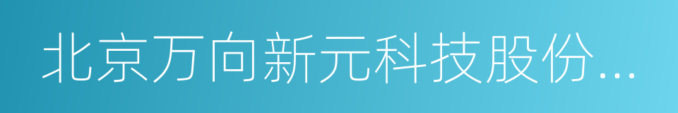 北京万向新元科技股份有限公司的同义词