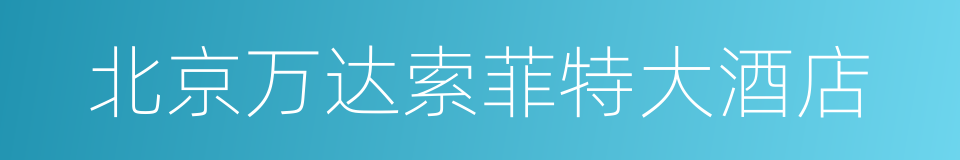 北京万达索菲特大酒店的同义词