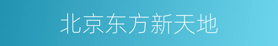 北京东方新天地的同义词