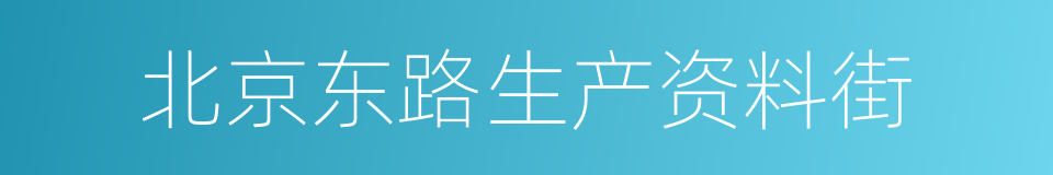 北京东路生产资料街的同义词